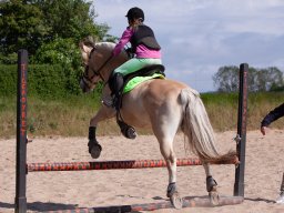 IMG_5547_web